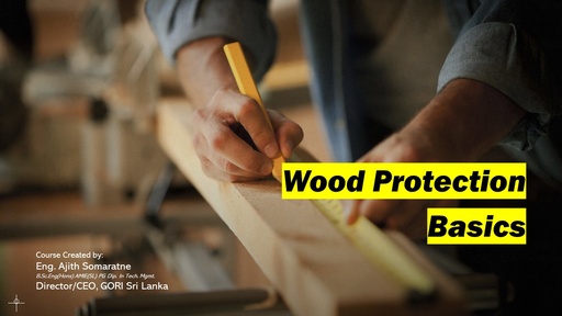 Wood Protection Basics